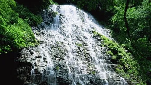 可靠性高性能